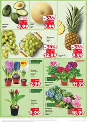 Top oferty tygodnia czekają! – Kaufland