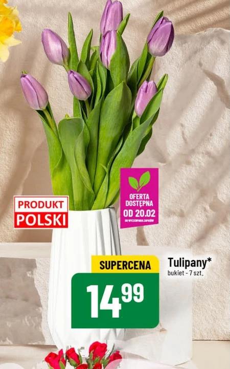 Bukiet tulipanów Tulipany