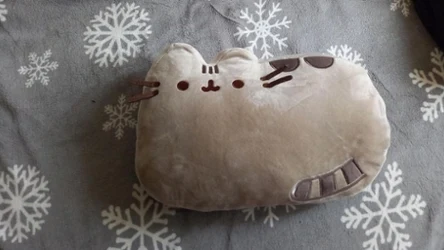 Nowa kolekcja Pusheen w Biedronce! 