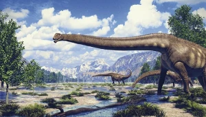 Podręczniki piszemy na nowo. Znaleźli skórę dinozaura, wszystko zmienia