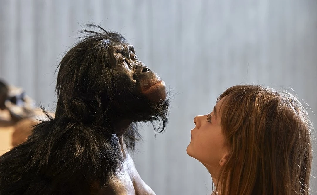 Jeden z naszych przodków, australopitek