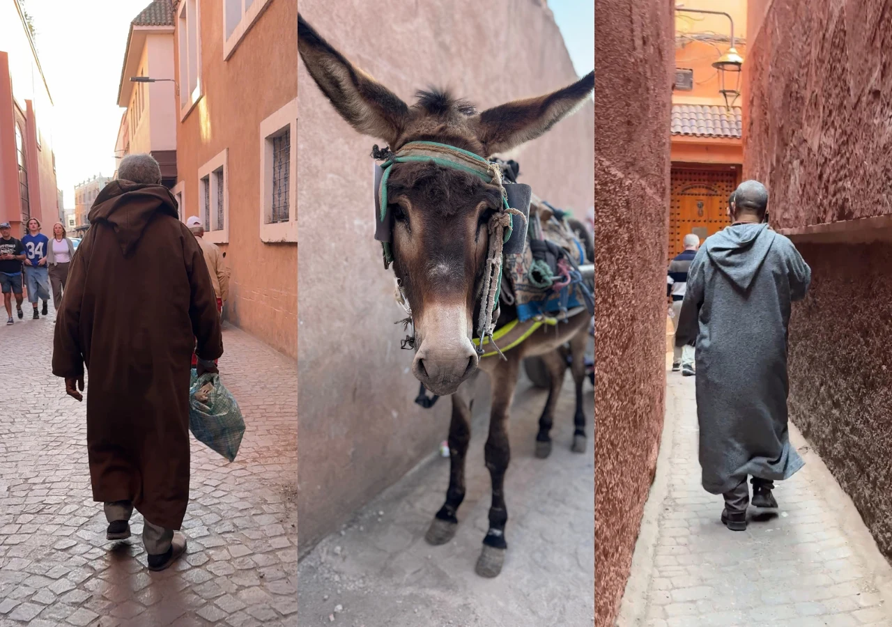 Mężczyźni odziani w tradycyjne djellaby to w mieście powszechny widok, podobnie jak osiołki ciągnące dwukółki