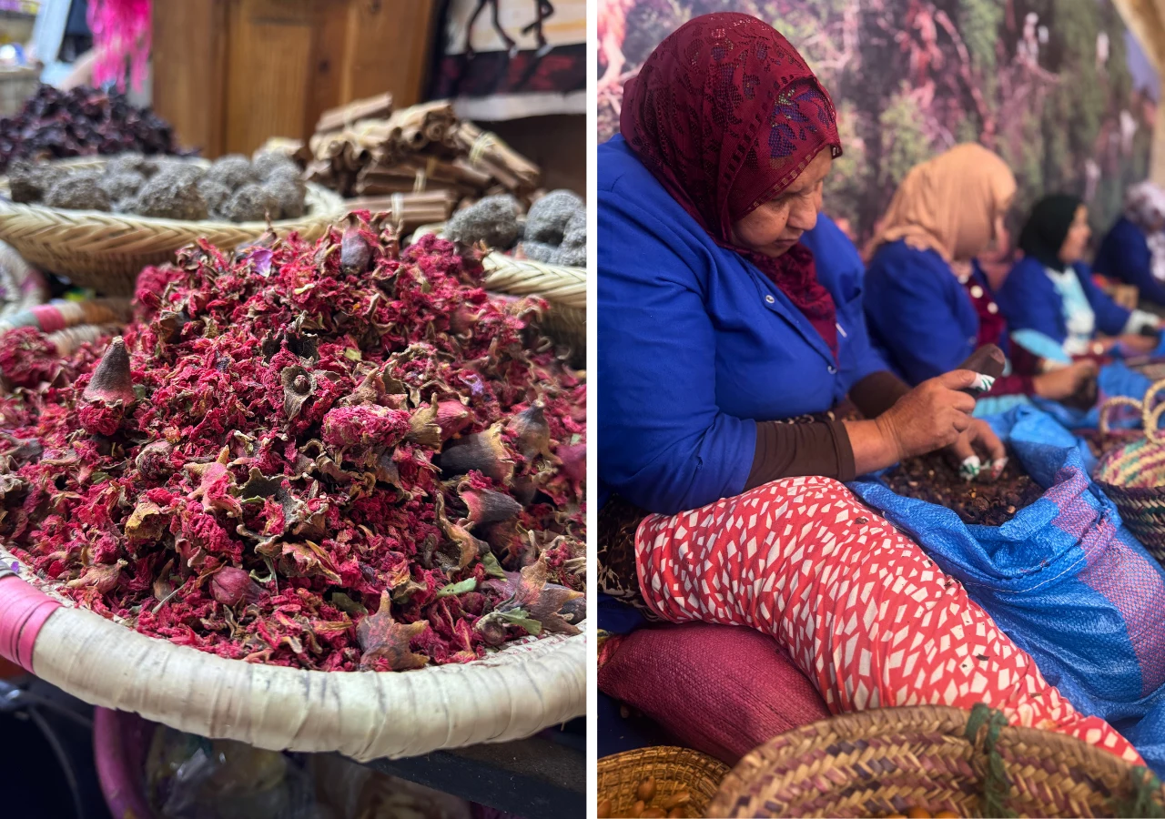 Olej arganowy wyciska się ręcznie z owoców drzewa arganii, w sklepach zielarskich znajdziemy go pośród suszonych ziół i kwiatów