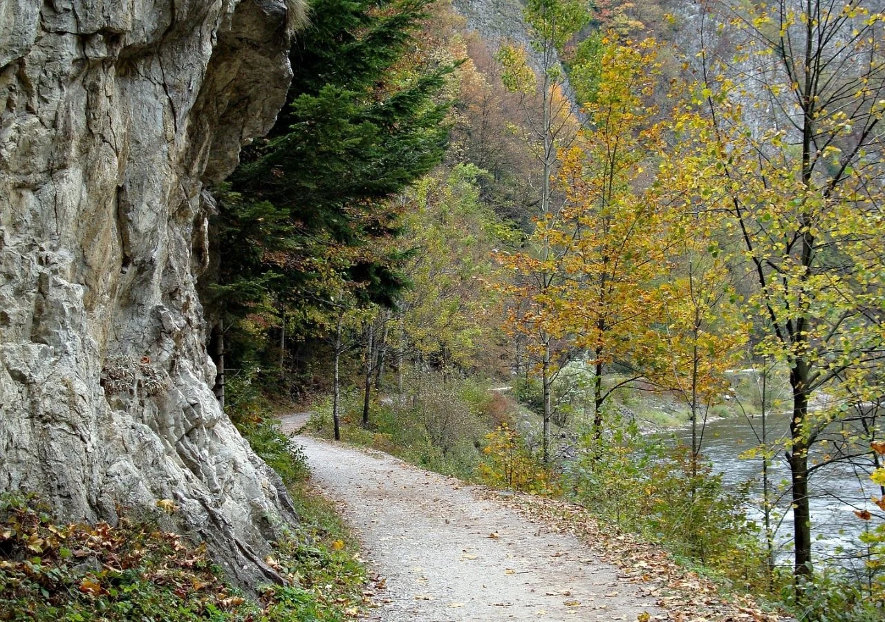 To najstarszy park narodowy w Polsce. Znajduje się na południu naszego kraju To najstarszy park narodowy w Polsce. Znajduje się na południu naszego kraju