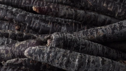 Czarna marchew pozytywnie wpływa na odporność i układ sercowo-naczyniowy. Niektórzy twierdzą, że jest zdrowsza od czerwonej