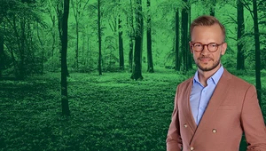 Polskie lasy przyszłości. Jak będą wyglądały za 50 lat?