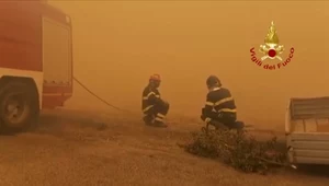 Sardynia płonie. Zniszczone lasy, gaje oliwne i domy 