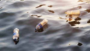 Coroczny problem na polskich plażach