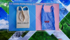 Jak być "eko"? Najlepiej zacząć od małych kroków