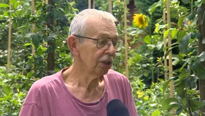 Świeże zioła, owoce i warzywa. To wszystko można wyhodować samemu