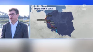Prezes Wód Polskich o skażeniu Odry: To gigantyczna katastrofa. Nie mamy potwierdzenia co do rtęci