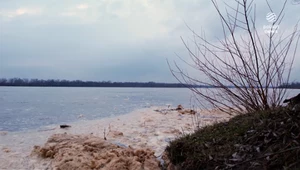 Greenpeace: Odra została zatruta na Śląsku