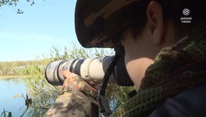 Młody Polak kocha robić zdjęcia ptakom. Fotograf zdobył już kilka nagród 