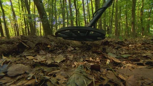 Poszukiwacze skarbów sprzątają śmieci w lasach