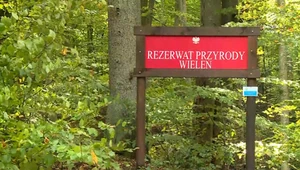 Góry nad Bałtykiem. Wyjątkowy region na północy Polski