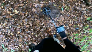 Na spacer tylko z wykrywaczem metalu. Detektoryści kochają naturę