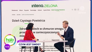 Problem smogu w Polsce. Ekspert wyjaśnia skutki tego typu zanieczyszczeń