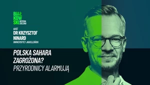 Pustynia Błędowska zagrożona? Przyrodnicy alarmują