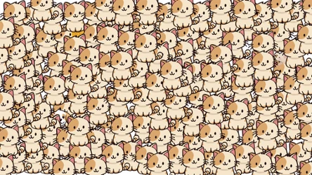 ​Myślisz, że jesteś spostrzegawczy? Znajdź 3 ukryte na obrazku elementy