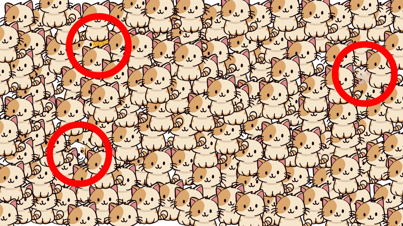 Zagadka dla spostrzegawczych — rozwiązanie