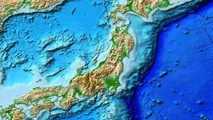 Dziwne struktury na dnie Rowu Japońskiego. Naukowcy zdumieni