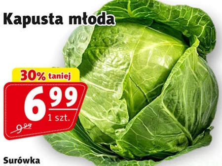 Kapusta młoda