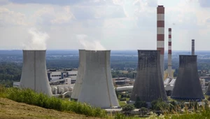 Kiedy szczegóły ws. wydzielenia aktywów węglowych z polskiego sektora energetycznego? MAP wskazało datę. Na zdj. Elektrownia Łaziska należąca do Tauronu