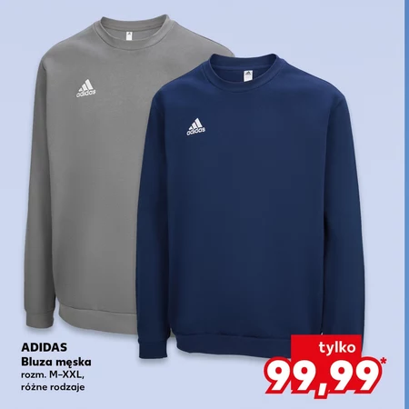 Bluza męska Adidas