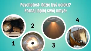 Psychotest: Poznaj swój umysł i instynkt przetrwania. Gdzie byś uciekł?