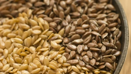Które siemię lniane jest zdrowsze - złote czy brązowe?
