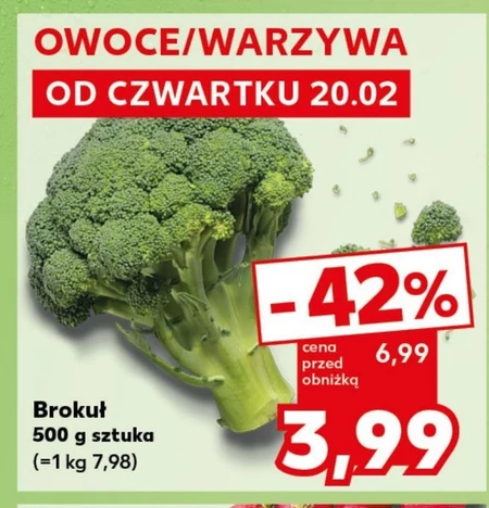 Brokuł