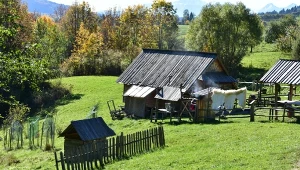 Są jeszcze miejsca na bezpłatny kurs na juhasa i bacę, można zgłaszać się do końca lutego. Na zdj. bacówka w Pieninach