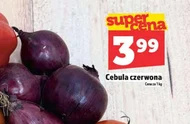 Cebula czerwona