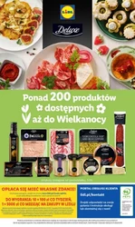 Katalog okazji - Lidl