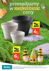 Przesadzamy w najniższe ceny - Dealz