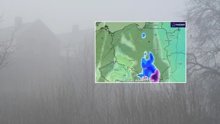 Poniedziałek przynosi gęste mgły i lokalne opady deszczu. Będzie ciepło: do 12 stopni Celsjusza