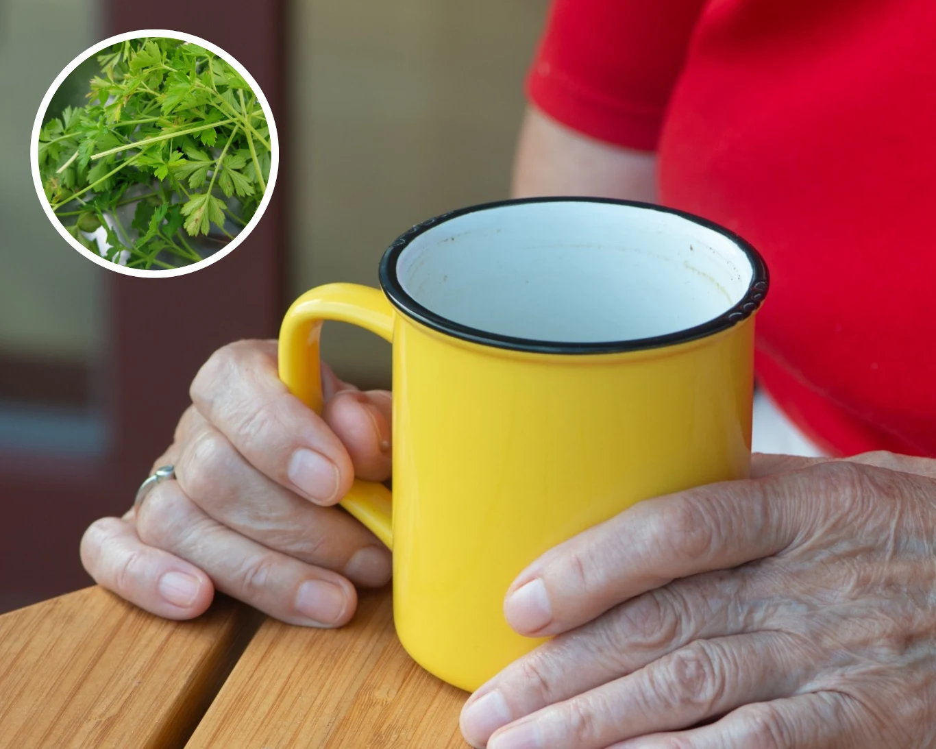 Regularne picie naparu z pietruszki przyniesie ci wiele korzyści zdrowotnych Regularne picie naparu z pietruszki przyniesie ci wiele korzyści zdrowotnych