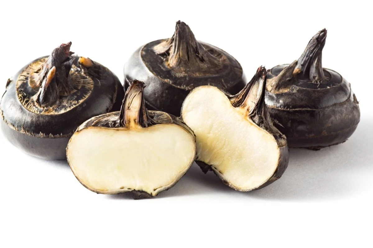 Orzech, który jest bulwą? Oto kasztan wodny Orzech, który jest bulwą? Oto kasztan wodny