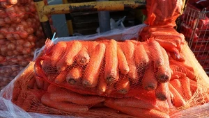 W 2024 roku do Polski wjechała rekordowa ilość marchwi