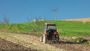 Tyle rolnik zarabia na hektarze upraw. Bogacze, ale tylko na papierze