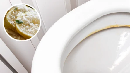 Szukasz domowych sposobów na czyszczenie toalety? Ten tani trik z popularnym owocem i przyprawą na pewno ci się spodoba