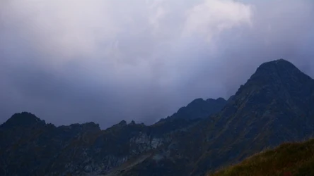 Według góralskich legend, spotkanie czarnego motyla zimą na górskim szlaku zwiastuje nieszczęście