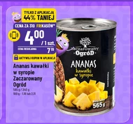 Ananas Zaczarowany Ogród