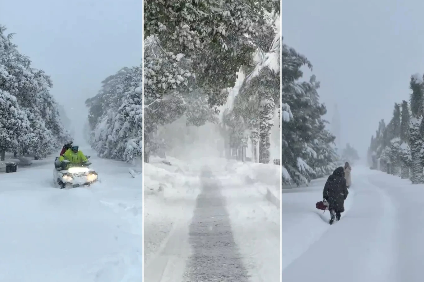 Śnieżyce mocno utrudniają życie mieszkańcom zachodniej części Gruzji. Wiele wiosek jest odciętych od świata, tysiące ludzie nie mają prądu Śnieżyce mocno utrudniają życie mieszkańcom zachodniej części Gruzji. Wiele wiosek jest odciętych od świata, tysiące ludzie nie mają prądu