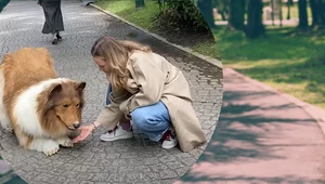Przebrania Toco wykonane zostały z dbałością o najdrobniejsze szczegóły. Naprawdę łatwo się pomylić. Fragment filmu opublikowanego w serwisie YouTube na kanale: @I_want_to_be_an_animal