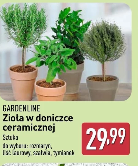 Zioła Gardenline