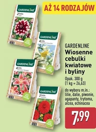 Cebulki kwiatowe Gardenline