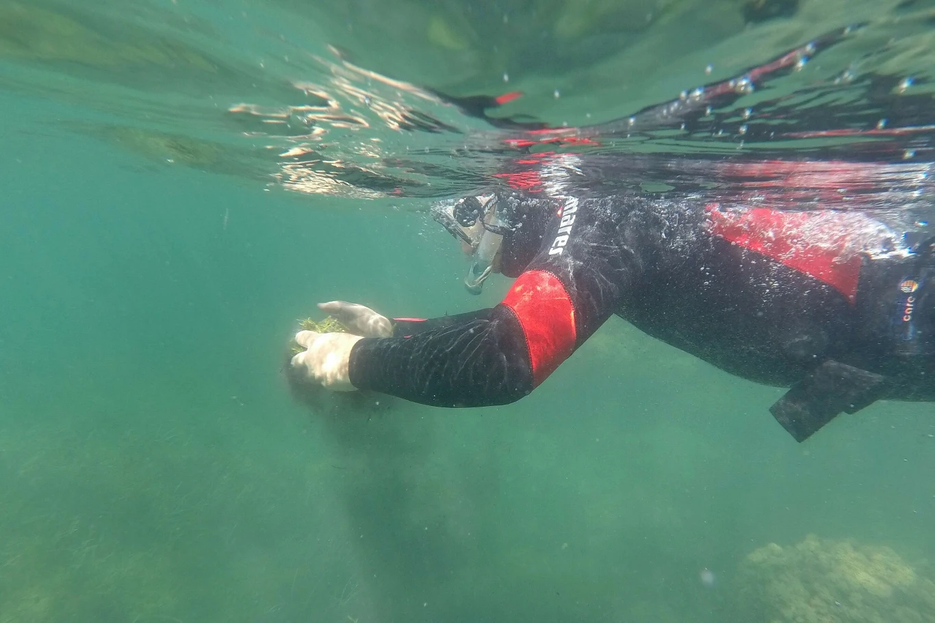 Warunki do nurkowania w Durrës nie są najlepsze, najczęściej spotkamy tam muliste dno