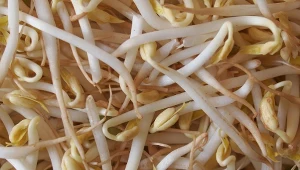 Wystarczy odrobina do kanapki. Wymiatają wolne rodniki, wspomagają serce