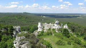 Góra Zborów to jedna z atrakcji, której nie można pominąć na Śląsku